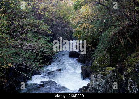 Small highland river in Scotland after a heavy autumnal rainfall Stock Photo