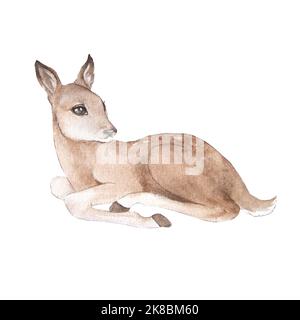 Watercolor cute illustration of a little cartoon deer, fawn, isolated. For prints, baby things, patterns, interior stickers Stock Photo