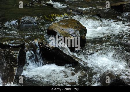 Melincourt Brook just below Melincourt Falls. Stock Photo