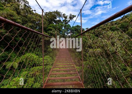 Panama Rainforest. Old hanging bridge in the jungle of Panama, Central America. Stock Photo