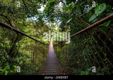 Panama Rainforest. Old hanging bridge in the jungle of Panama, Central America. Stock Photo