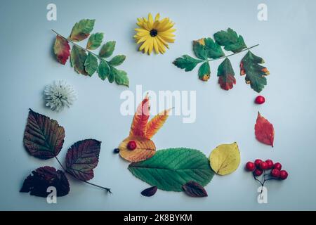 rabbit made from colorful leaves and bright flowers on white background ...
