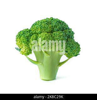 Fresh broccoli isolated on a white background. Vegetarian food. Stock Photo
