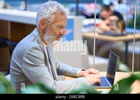 Busy professional older senior business man using laptop working in office. Stock Photo