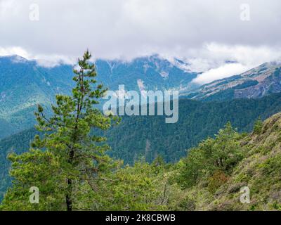 Overcast view of the landscape of Hehuanshan at Taiwan Stock Photo