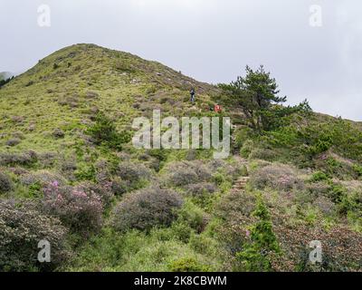 Overcast view of the landscape of Hehuanshan at Taiwan Stock Photo