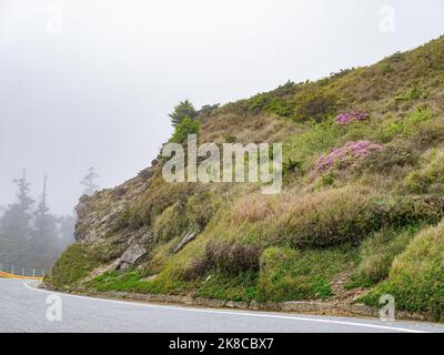 Overcast view of the landscape of Hehuanshan at Taiwan Stock Photo