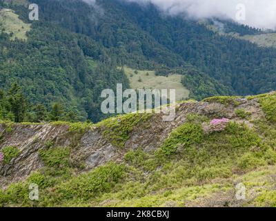 Overcast view of the landscape of Hehuanshan at Taiwan Stock Photo