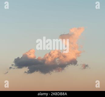 single puffy figured cloud in morning sky Stock Photo