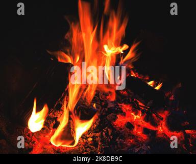 burning fire wood in campfire bonfire fireplace at night Stock Photo