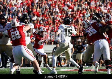 Madison, WI, USA. 22nd Oct, 2022. Purdue Boilermakers quarterback Aidan O'Connell (16) passing the ball during the NCAA Football game between the Purdue Boilermakers and the Wisconsin Badgers at Camp Randall Stadium in Madison, WI. Darren Lee/CSM/Alamy Live News Stock Photo