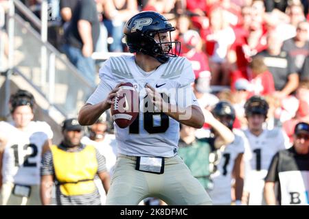 Madison, WI, USA. 22nd Oct, 2022. Purdue Boilermakers quarterback Aidan O'Connell (16) passing the ball during the NCAA Football game between the Purdue Boilermakers and the Wisconsin Badgers at Camp Randall Stadium in Madison, WI. Darren Lee/CSM/Alamy Live News Stock Photo