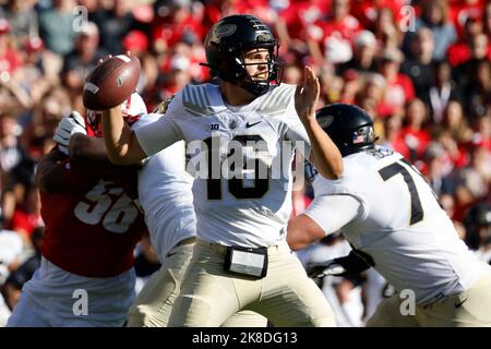 Madison, WI, USA. 22nd Oct, 2022. Purdue Boilermakers quarterback Aidan O'Connell (16) passing the ball during the NCAA Football game between the Purdue Boilermakers and the Wisconsin Badgers at Camp Randall Stadium in Madison, WI. Darren Lee/CSM/Alamy Live News Stock Photo