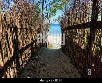 Beach on the Baltic Sea. Exit to the beach. Seaside scenery with a sandy beach, grass dunes Stock Photo