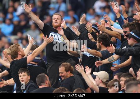 Sydney, Australia. 23rd Oct, 2022. Sydney cove fans during the Australia A League match between Sydney FC and Adelaide United at Allianz Stadium, Sydney, Australia on 23 October 2022. Photo by Peter Dovgan. Editorial use only, license required for commercial use. No use in betting, games or a single club/league/player publications. Credit: UK Sports Pics Ltd/Alamy Live News Stock Photo