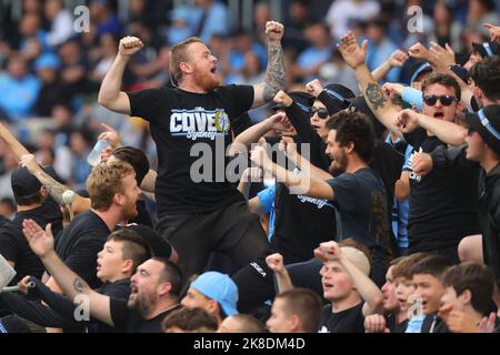 Sydney, Australia. 23rd Oct, 2022. Sydney cove fans during the Australia A League match between Sydney FC and Adelaide United at Allianz Stadium, Sydney, Australia on 23 October 2022. Photo by Peter Dovgan. Editorial use only, license required for commercial use. No use in betting, games or a single club/league/player publications. Credit: UK Sports Pics Ltd/Alamy Live News Stock Photo