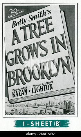 DOROTHY McGUIRE JOAN BLONDELL JAMES DUNN LLOYD NOLAN PEGGY ANN GARNER and TED DONALDSON in A TREE GROWS IN BROOKLYN 1945 director ELIA KAZAN novel Betty Smith music Alfred Newman producer Louis D. Lighton Twentieth Century Fox Stock Photo