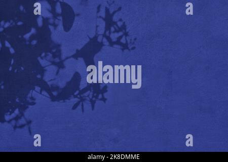 Shadow of leaves on purple concrete wall texture background Stock Photo