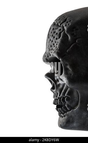 Human skull isolated on white background with clipping path Stock Photo