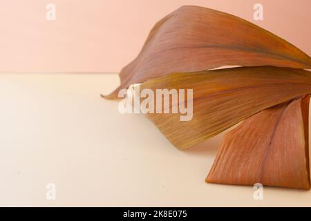 dried brown leaves on pink background. wallpaper autumn image. creative composition. copy space Stock Photo