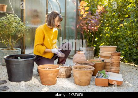 Woman planting flowers in jugs at garden Stock Photo