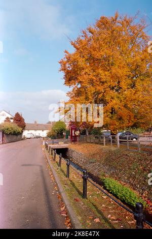 Autumn comes to a Devon Village.   East Budleigh in November. Stock Photo