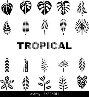 leaf tropical plant palm jungle icons set vector Stock Vector