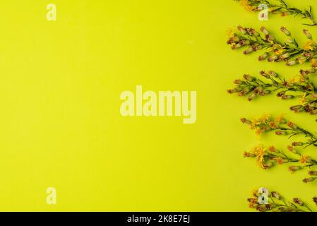 Small green stems with small yellow flowers on a green background. Stock Photo
