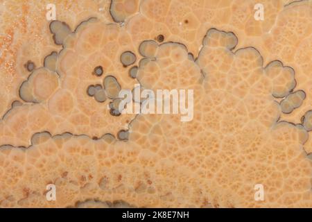 Onice Nuvolato background, texture in stylish beige tone for interior. Slab photo. Extra soft beige, brown, orange material. Glossy pattern for home Stock Photo