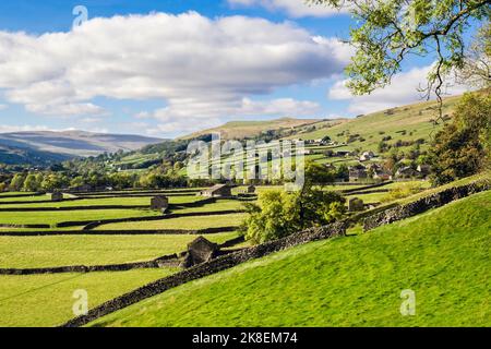 View to village across countryside with barns and drystone walls in Yorkshire Dales National Park. Gunnerside, Swaledale, north Yorkshire, England, UK Stock Photo