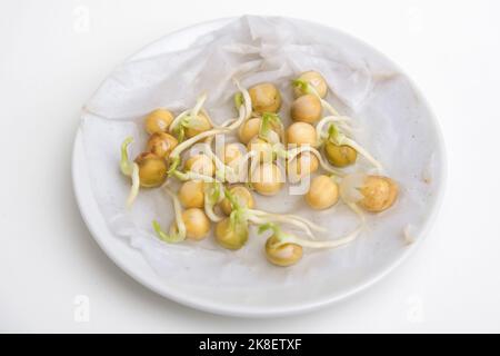 Pea sprouts in a white saucer. Growing microgreens at home. Growing peas at home. Growing peas in an apartment. Stock Photo