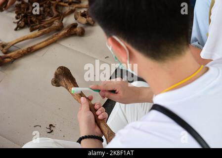 Bangkok, Thailand. 22nd Oct, 2022. Volunteers, participated in the tradition of exhuming the bodies of the deceased, unclaimed rising from the grave to clean human skeletons and collect them and prepare them for a merit-making ceremony according to religious belief of Thai people of Chinese descent At Teochew Chinese Cemetery (Wat Don Cemetery), Sathorn District, Bangkok. (Credit Image: © Teera Noisakran/Pacific Press via ZUMA Press Wire) Stock Photo