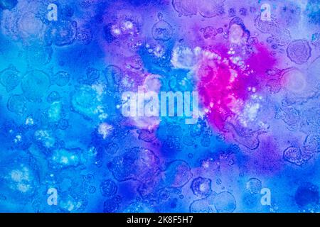 Organic texture made with blue and magenta liquid watercolor on white paper that simulates leaves and concepts of nature and health Stock Photo