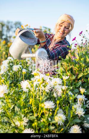 Happy mature gardener watering flowers with can on sunny day Stock Photo