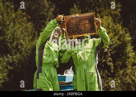 Beekeepers wearing protective suits analyzing beehive on sunny day