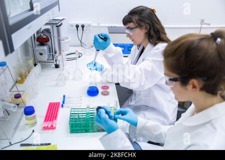 Scientists experimenting with chemicals on table in laboratory Stock Photo