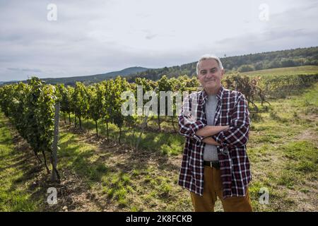 Confident senior farmer with arms crossed in vineyard Stock Photo