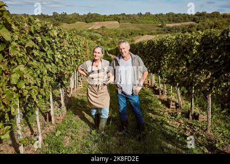 Mature farmers with hand on hip amidst grape vine in vineyard on sunny day Stock Photo