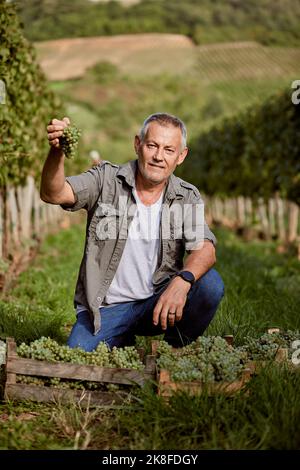 Portrait of a farmer showing his field Stock Photo - Alamy