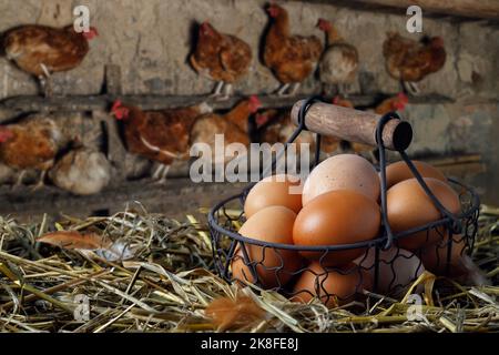 eggs in basket on hay and hens in chicken coop Stock Photo