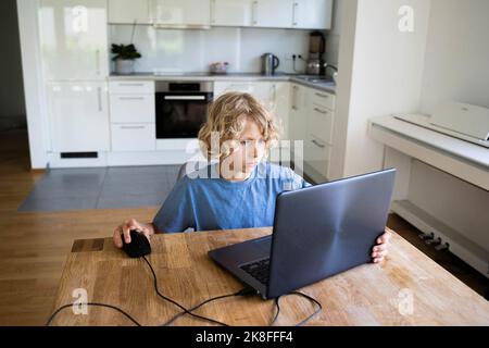 Boy studying through laptop on table at home Stock Photo