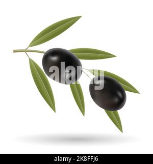 Illustration of Black Olives and Green Leaves isolated on a White Background Stock Vector