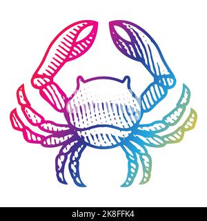 Illustration of Scratchboard Engraved Crab in Rainbow Colors isolated on a White Background Stock Vector