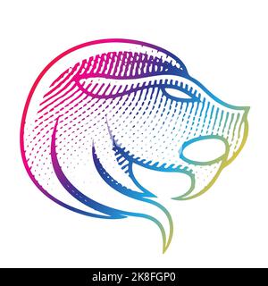 Illustration of Scratchboard Engraved Lion in Rainbow Colors isolated on a White Background Stock Vector