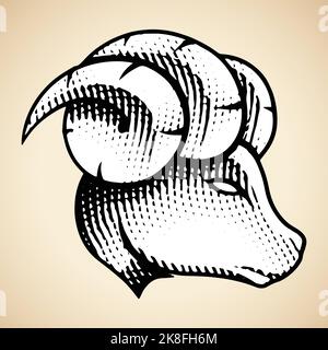 Illustration of Scratchboard Engraved Ram Profile View with White Fill isolated on a Beige Background Stock Vector