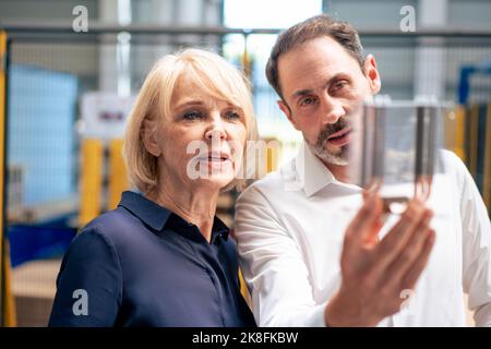 Businessman with senior businesswoman analyzing heating module in industry Stock Photo