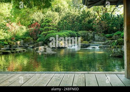 Lovely  view on small waterfalls in japanese garden and japanese maple  in Botanical garden in Augsburg  and reflections in water (gazebo not visible) Stock Photo