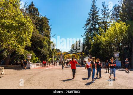 Grande árvore De Carvalho Verde Americano Na Frente Da Casa Do Clube Do  Estudante No Terreno Da Faculdade Imagem de Stock - Imagem de berkeley,  américa: 105746151