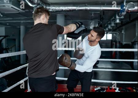 Two sparring partners in boxing gloves practice kicks Stock Photo