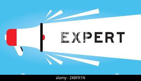 Color megaphone icon with word expert in white banner on blue background Stock Vector